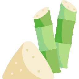 Sugarcane-Straws
