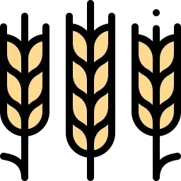 Wheat Straws